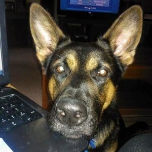 Meet your Posher, Susan